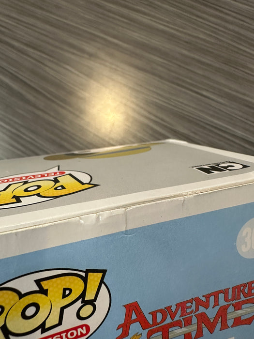 Funko POP! Television: Adventure Time - Marceline (Hot Topic)(Damaged Box) #301