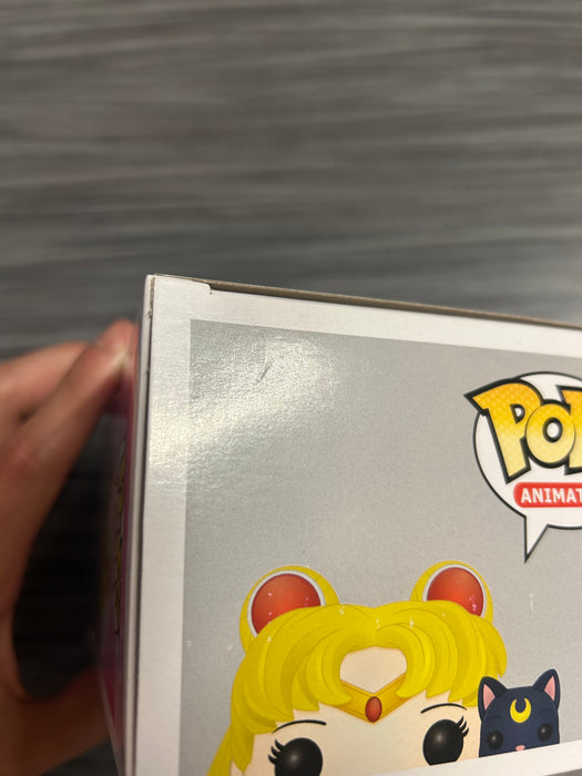 Funko POP! Animation: Sailor Moon - Sailor Moon & Luna (Damaged Box) #89