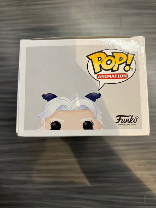 Funko POP! Animation: The Dragon Prince - Rayla (Damaged Box) #751