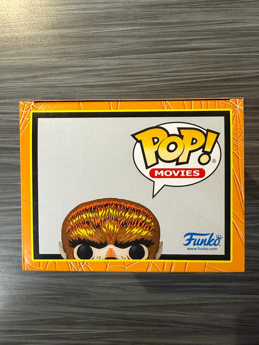 Funko POP! Movies: Universal Monsters - The Wolf Man (Funko)(Damaged Box)[C] #1633