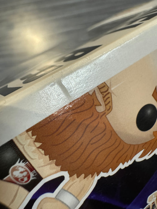 Funko POP! WWE: Daniel Bryan (Damaged Box) #07