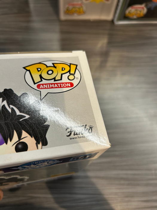Funko POP! Animation: Yu Yu Hakusho - Hiei (Hot Topic)(Damaged Box) #547