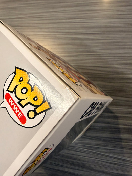 Funko POP! WWE: CM Punk (Hot Topic)(Damaged Box) #02