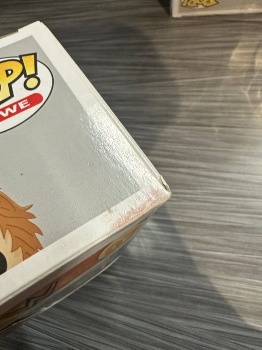 Funko POP! WWE: Daniel Bryan (Hot Topic)(Damaged Box)[B] #07